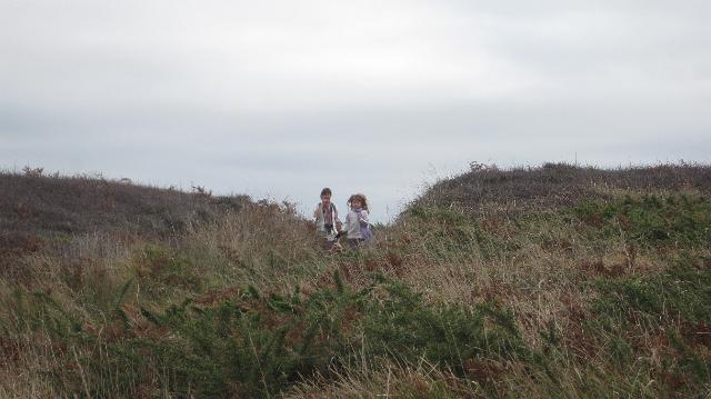 Belle Ile 28 oct 2009 (22).jpg